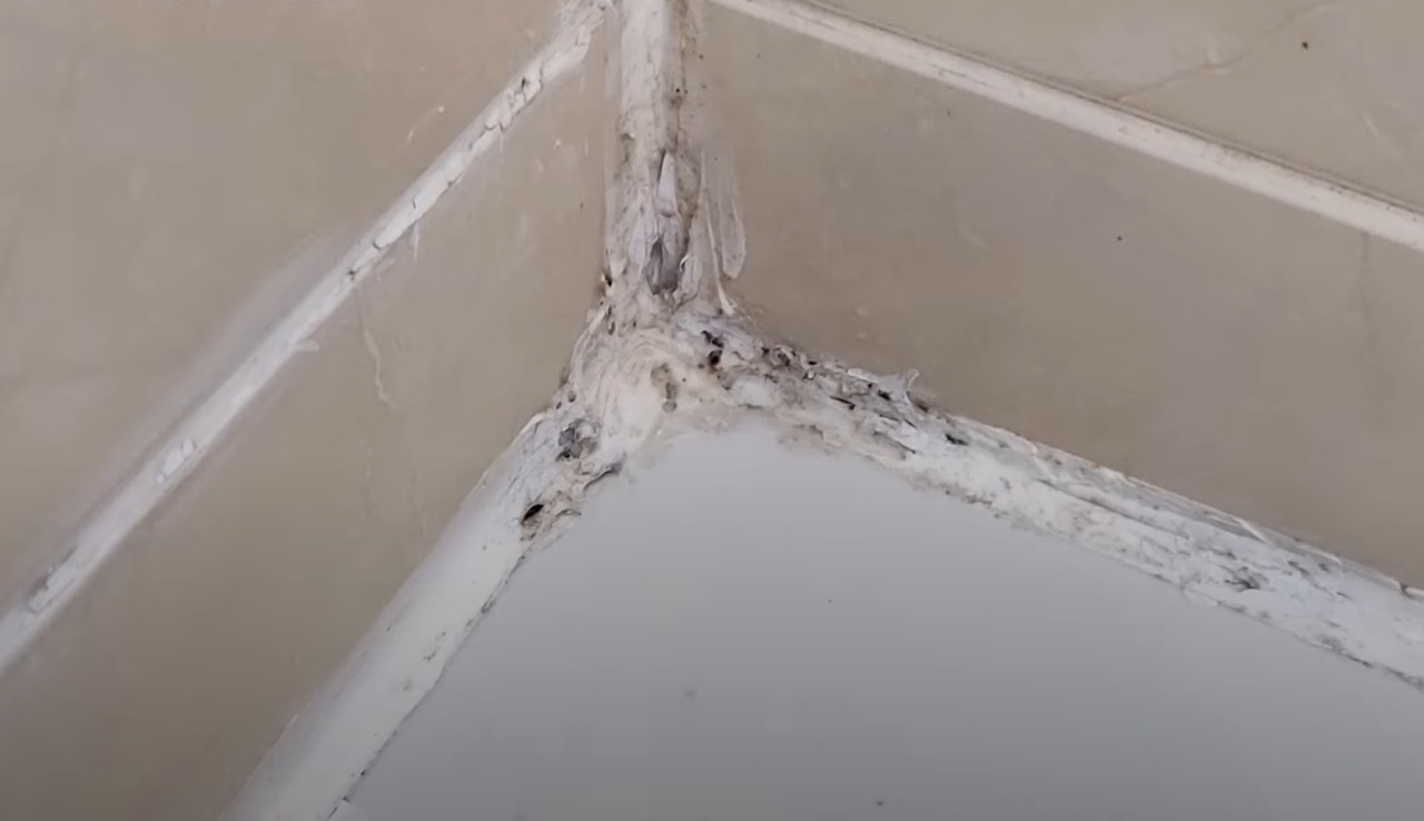 Moldy caulk before repair